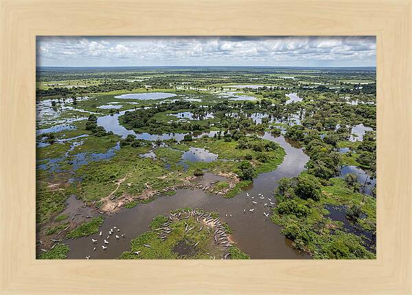 Pantanal Landscape In Flood Season