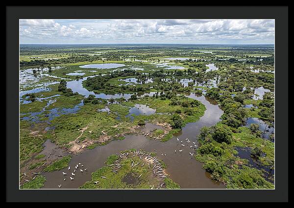 Pantanal Landscape In Flood Season