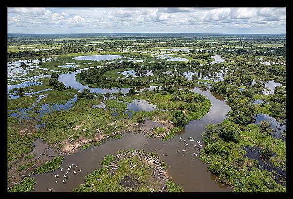 Pantanal Landscape In Flood Season