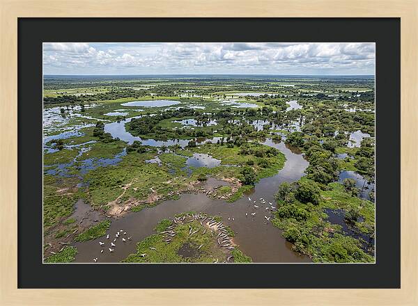 Pantanal Landscape In Flood Season