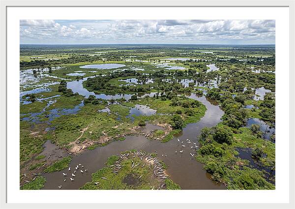 Pantanal Landscape In Flood Season
