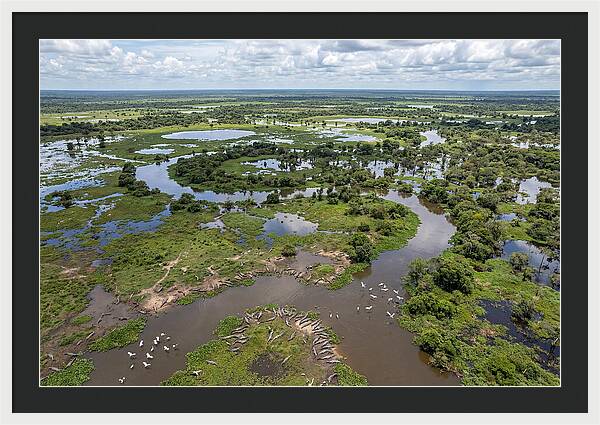 Pantanal Landscape In Flood Season