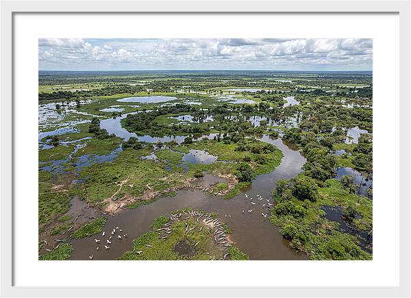 Pantanal Landscape In Flood Season