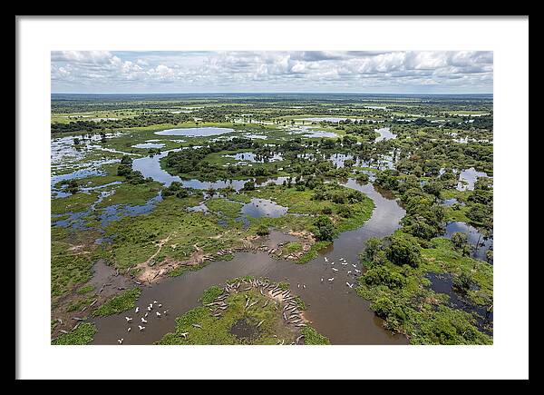 Pantanal Landscape In Flood Season