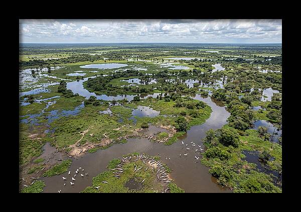 Pantanal Landscape In Flood Season