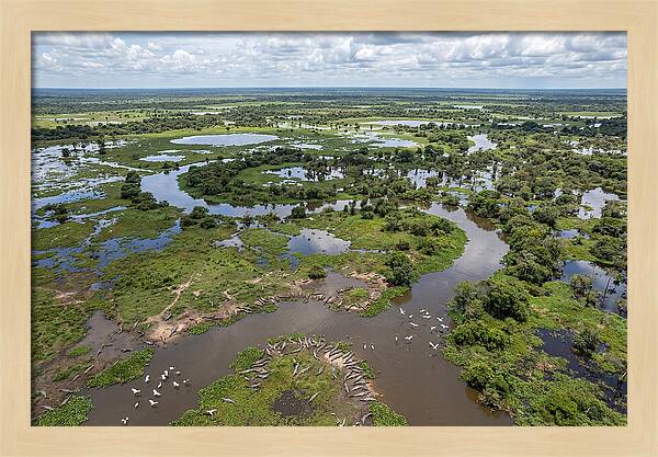 Pantanal Landscape In Flood Season