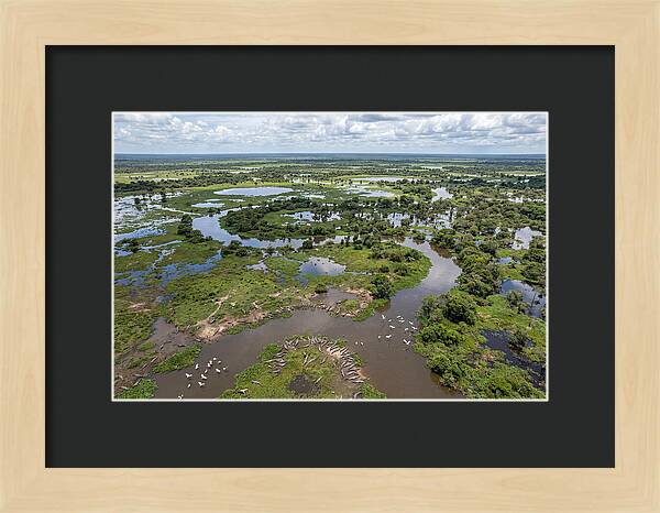 Pantanal Landscape In Flood Season