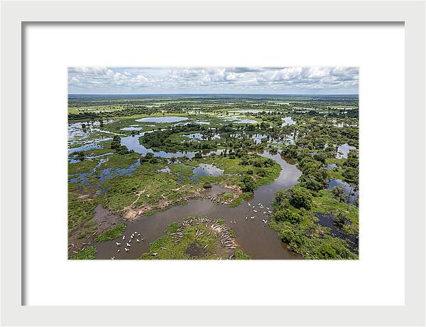 Pantanal Landscape In Flood Season