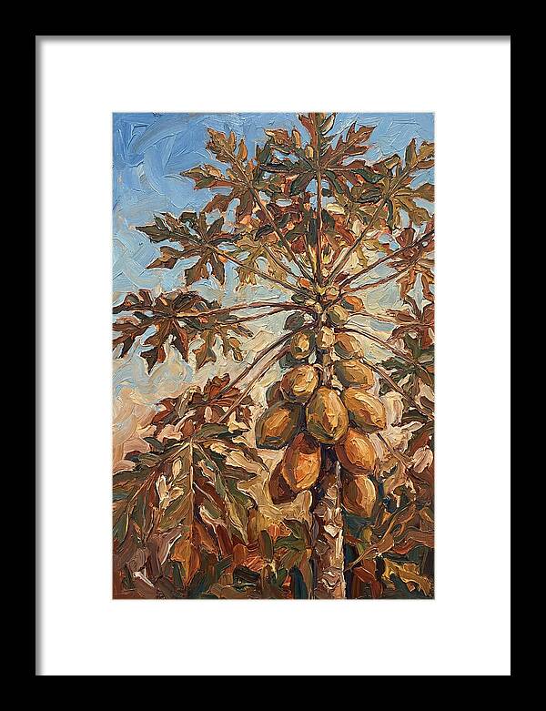 Papaya Tree Abundant With Fruit