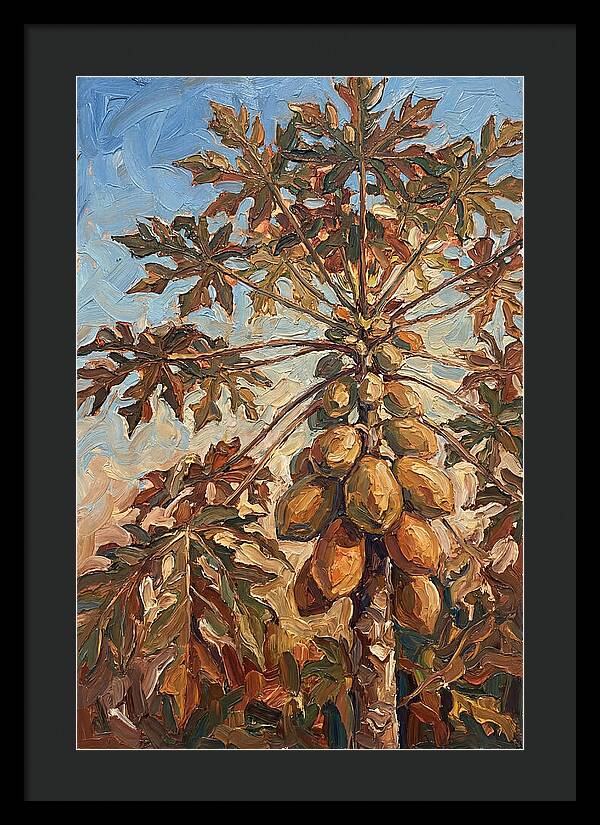 Papaya Tree Abundant With Fruit
