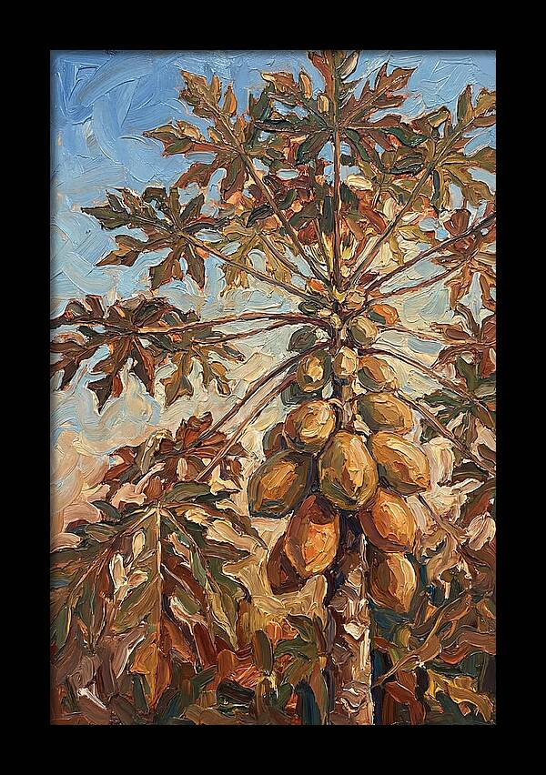 Papaya Tree Abundant With Fruit