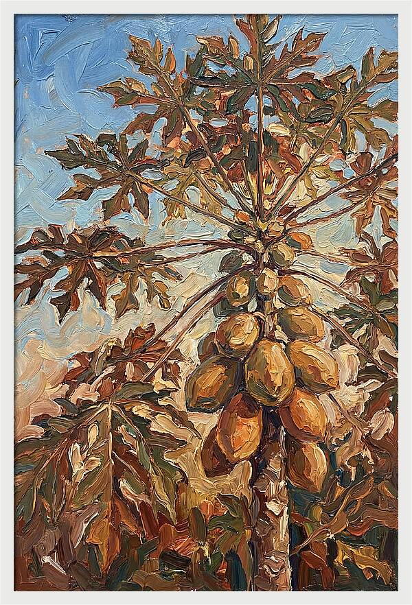Papaya Tree Abundant With Fruit
