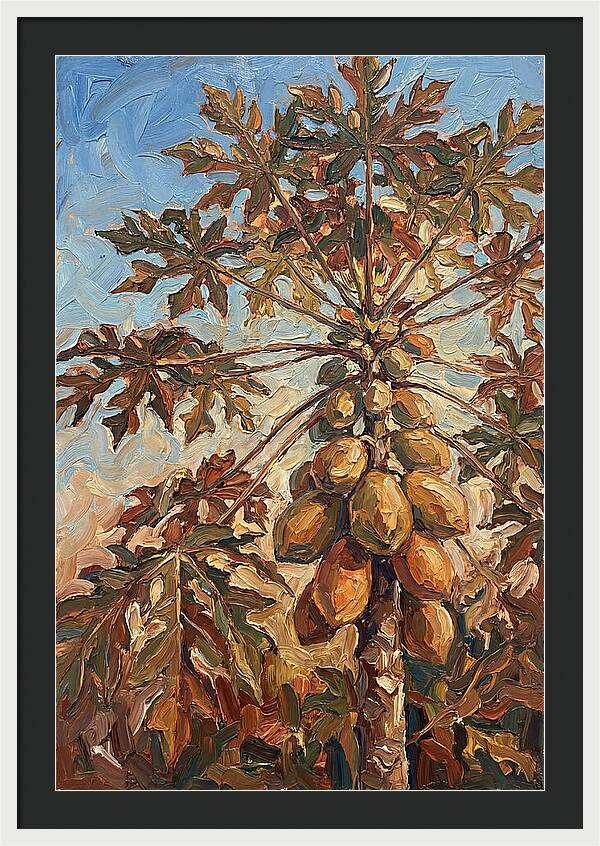 Papaya Tree Abundant With Fruit