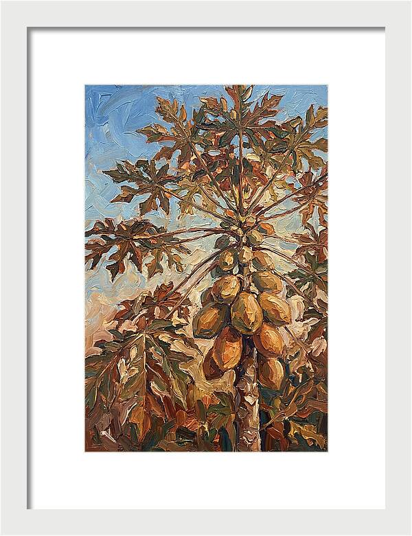 Papaya Tree Abundant With Fruit