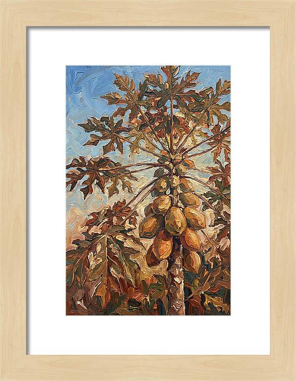 Papaya Tree Abundant With Fruit