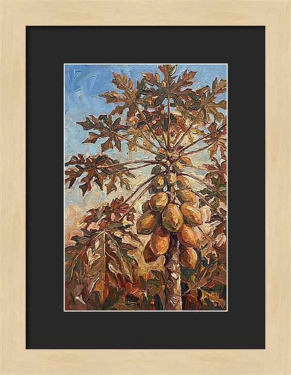 Papaya Tree Abundant With Fruit
