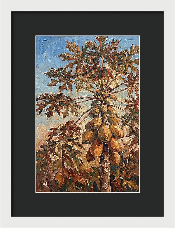 Papaya Tree Abundant With Fruit