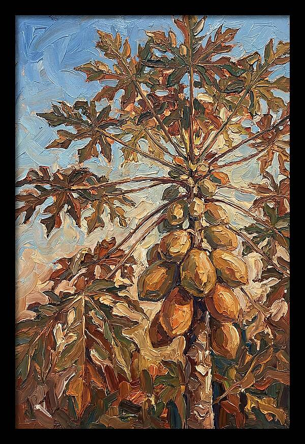 Papaya Tree Abundant With Fruit