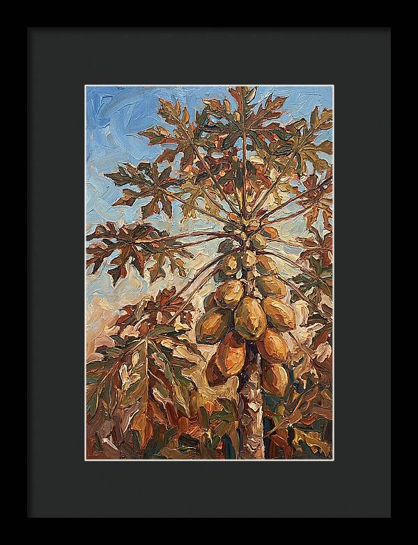 Papaya Tree Abundant With Fruit