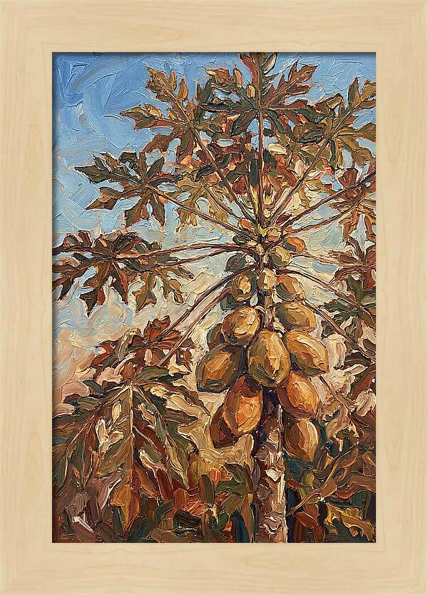 Papaya Tree Abundant With Fruit