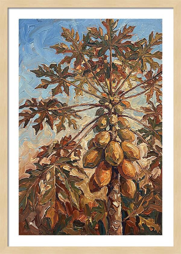 Papaya Tree Abundant With Fruit