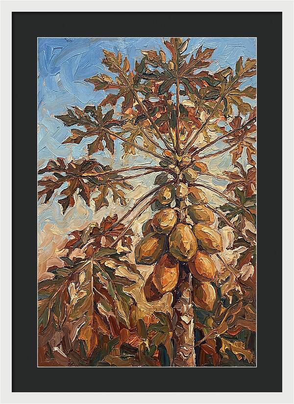 Papaya Tree Abundant With Fruit