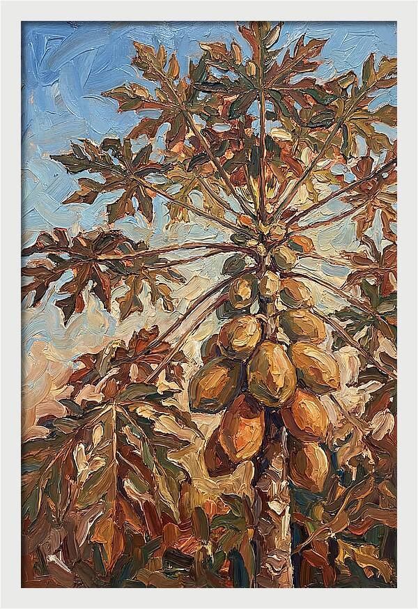 Papaya Tree Abundant With Fruit