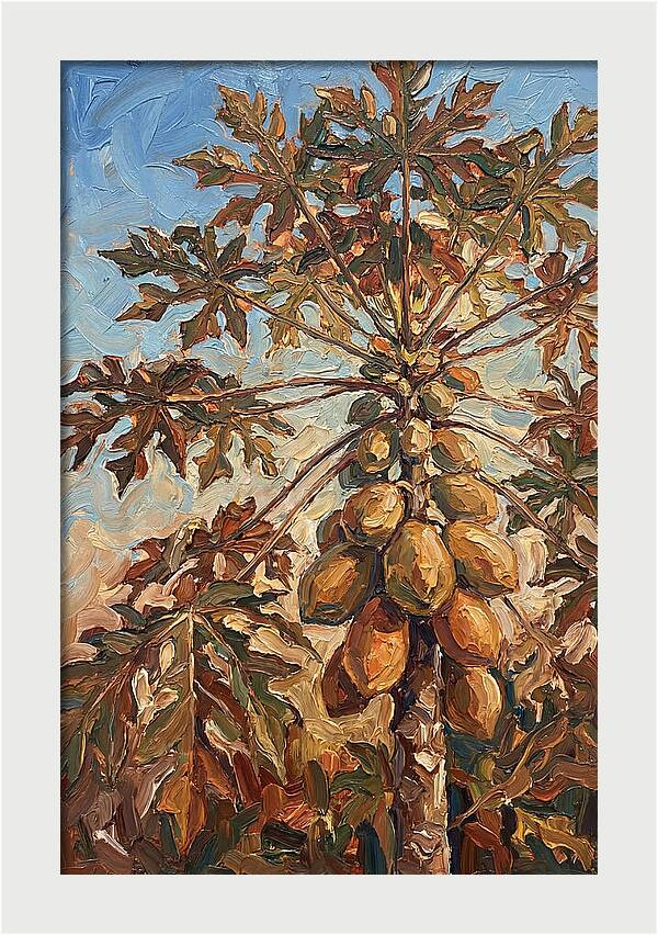 Papaya Tree Abundant With Fruit
