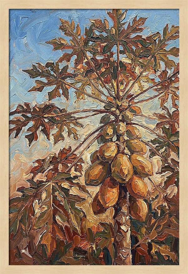 Papaya Tree Abundant With Fruit