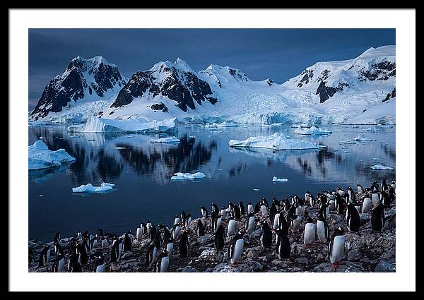 Antarctica Art