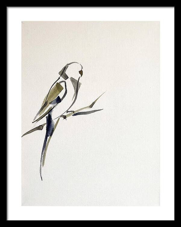 Parakeet Perched In Minimalism
