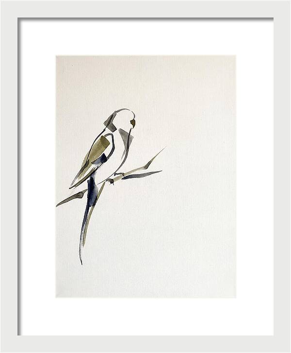Parakeet Perched In Minimalism