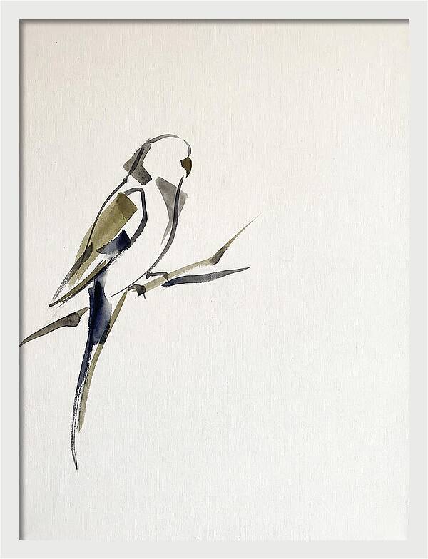 Parakeet Perched In Minimalism