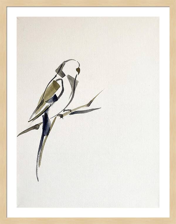 Parakeet Perched In Minimalism