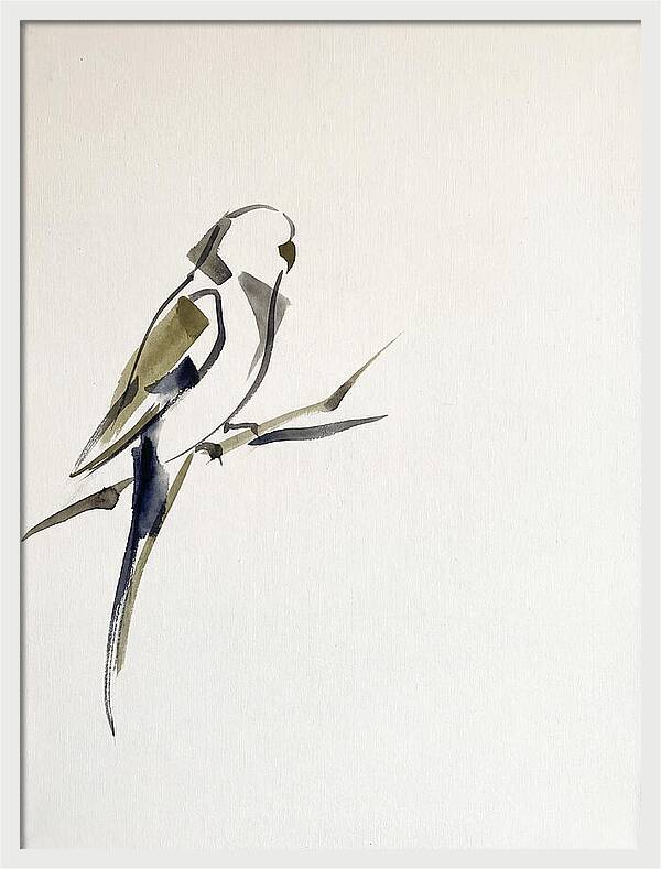 Parakeet Perched In Minimalism