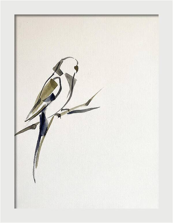 Parakeet Perched In Minimalism