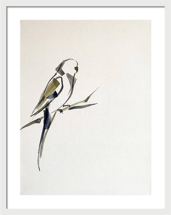 Parakeet Perched In Minimalism
