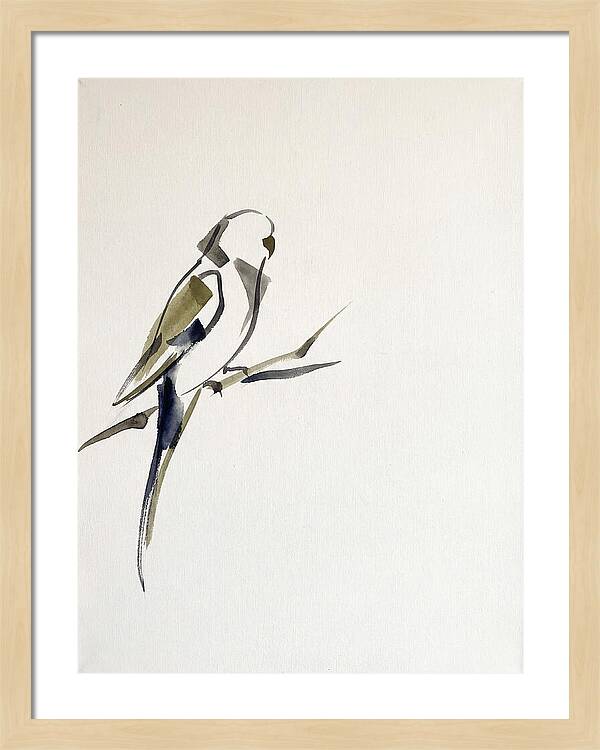 Parakeet Perched In Minimalism