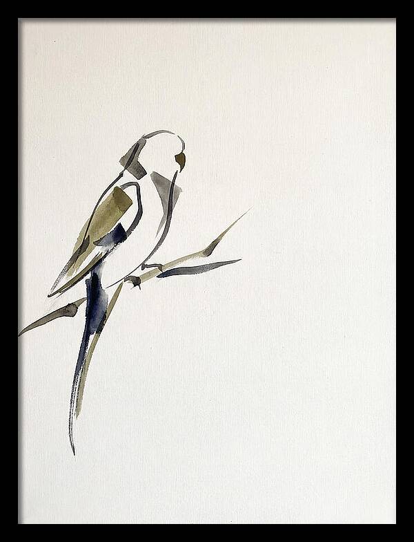 Parakeet Perched In Minimalism