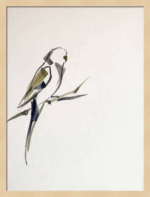 Parakeet Perched In Minimalism