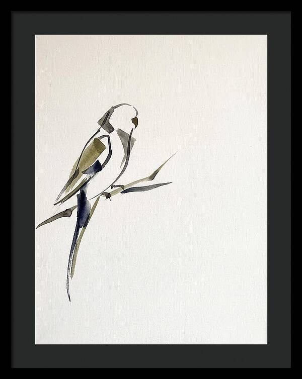 Parakeet Perched In Minimalism