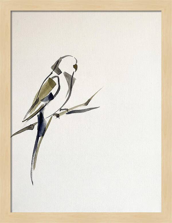 Parakeet Perched In Minimalism