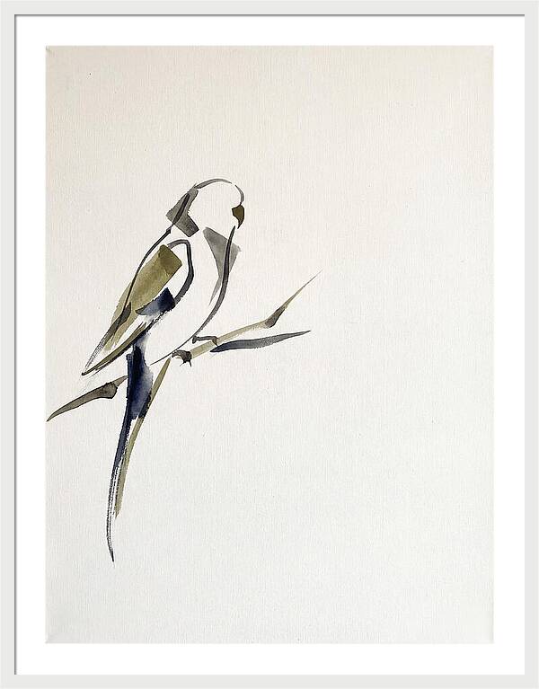 Parakeet Perched In Minimalism