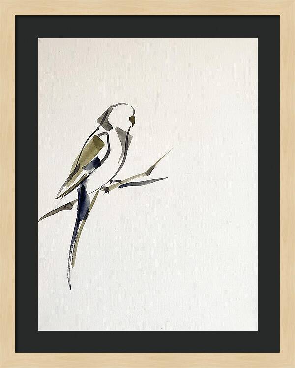 Parakeet Perched In Minimalism