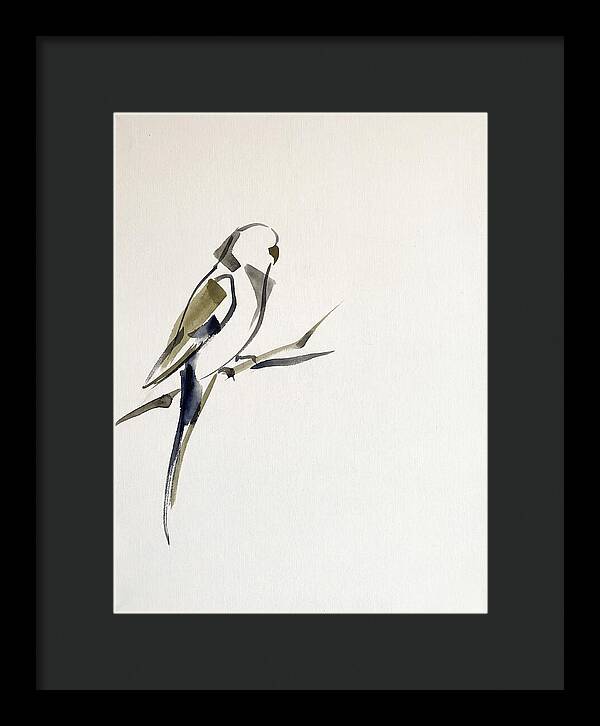 Parakeet Perched In Minimalism