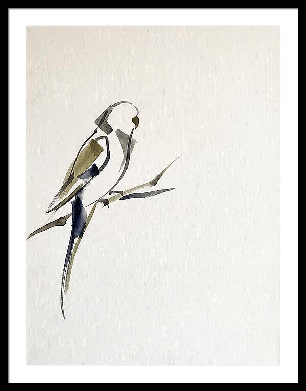 Parakeet Perched In Minimalism