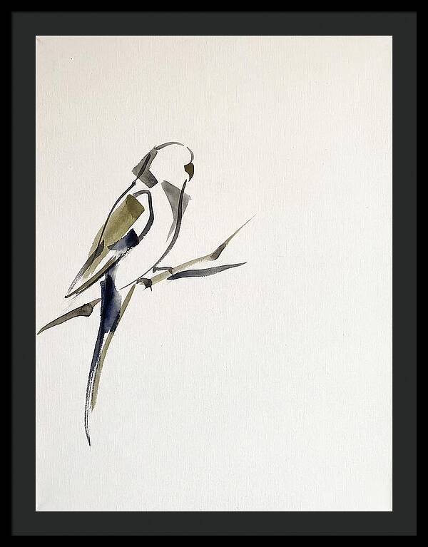 Parakeet Perched In Minimalism