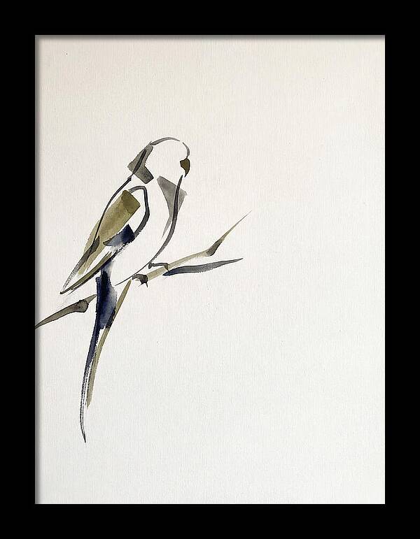 Parakeet Perched In Minimalism