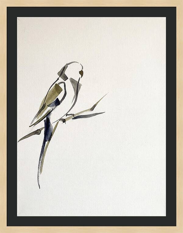 Parakeet Perched In Minimalism