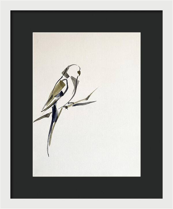 Parakeet Perched In Minimalism